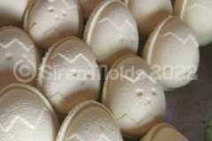 274472887_4710616552389378_2363183551901686440_n