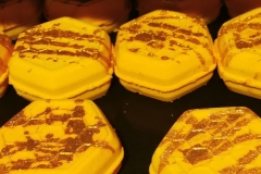 279032880_4879697118814653_6992779954540441828_n